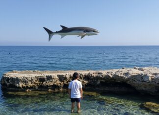 Roma: studenti studiano la tutela del Mediterraneo Formazione ambientale