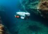 Mediterraneo: un robot svela la vita negli abissi Vita abissale