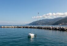 Genoa: nuovo piano per tutelare l’ecosistema marino Ecosistema marino