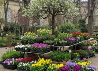 Soffio di Primavera: il FAI celebra la natura a Milano Giardinaggio urbano