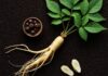 Ginseng coreano: guida ai benefici della radice Radice energizzante