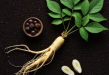 Ginseng coreano: guida ai benefici della radice Radice energizzante