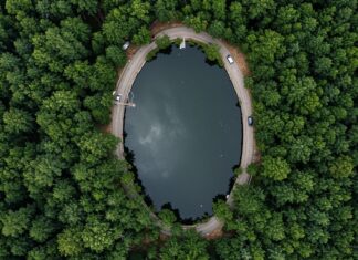 USA, studio: politiche di Trump dannose per la salute Salute pubblica