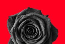 “Lividi”, il nuovo singolo di Jen V Blossom: una canzone che rompe il silenzio sulla violenza sulle donne