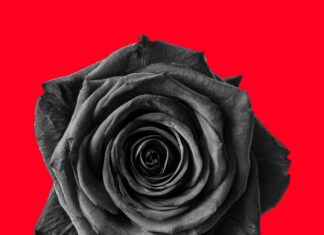 “Lividi”, il nuovo singolo di Jen V Blossom: una canzone che rompe il silenzio sulla violenza sulle donne