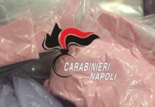 Cocaina rosa in casa, 29enne arrestata: la ‘droga dei ricchi’ avrebbe fruttato alla donna quasi 100mila euro Cocaina rosa
