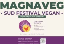 Magnaveg arriva a Napoli: ad aprile il primo festival veg del Sud tra cibo, cultura e comunità