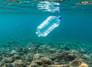 Plastiche biodegradabili: l’allarme degli scienziati Inquinamento plastico