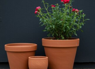 Vasi per piante: la guida alla scelta sostenibile Giardinaggio sostenibile