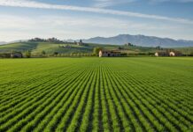 Pianura Padana: siccità minaccia i legumi primaverili Agricoltura resiliente