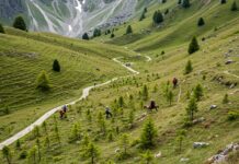 Appennino: 10mila nuovi alberi per riforestare Biodiversità appenninica