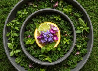 Cucina botanica in Italia: cos’è e perché è diversa Cucina botanica