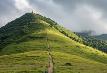 Buddhismo: le radici mentali della crisi ecologica Ecologia interiore