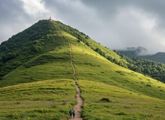 Buddhismo: le radici mentali della crisi ecologica Ecologia interiore