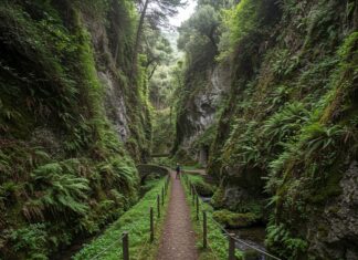 Castellammare: nuovo sentiero del Rio Lavello Patrimonio riscoperto