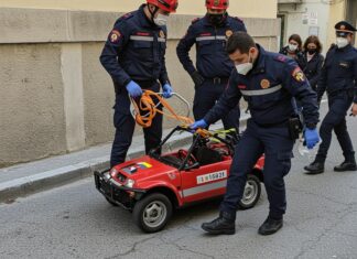 Salerno: salvata un’upupa bloccata in un edificio Soccorso animale