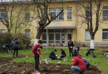 Bologna: l’orto scolastico contro il bullismo Educazione ambientale