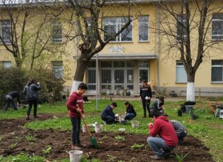 Bologna: l’orto scolastico contro il bullismo Educazione ambientale