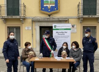 San Severo: 70 animali microchippati gratis Randagismo zero