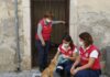 Bisceglie: allarme Enpa per i gattini abbandonati Gattini abbandonati