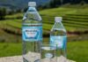 Acqua in bottiglia: come scegliere quella giusta Etichetta acqua