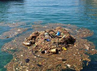 Porti italiani: al via la raccolta di oli esausti Porti sostenibili