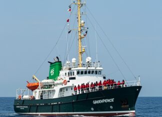 Flottiglia per Gaza: Greenpeace si unisce alla missione Missione umanitaria