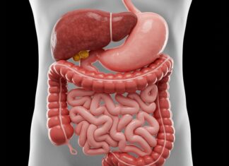 Morbo di Crohn in Italia: il 54% dei malati è curato male Morbo Crohn