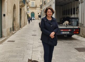 Matera, turista salva un gattino da una ruota di camion Prudenza automobilisti