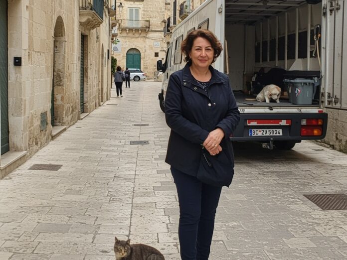 Prudenza automobilisti