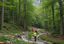 Appennino: progetto riforestazione pianta 20mila faggi Biodiversità appenninica