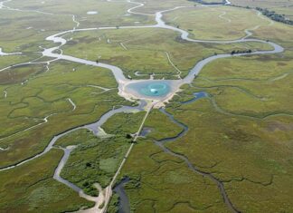Delta Po: via al restauro digitale dell’ecosistema Restauro ambientale