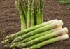 Asparagi italiani: alleati di cuore e depurazione Benefici naturali