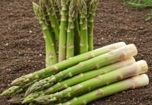 Asparagi italiani: alleati di cuore e depurazione Benefici naturali