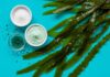 Cosmetici fai-da-te: il potere delle alghe marine Cosmetica naturale