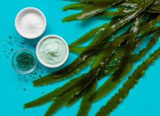 Cosmetici fai-da-te: il potere delle alghe marine Cosmetica naturale