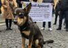 Roma: manifestazione per gli animali maltrattati Giustizia animali