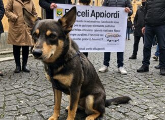 Roma: manifestazione per gli animali maltrattati Giustizia animali