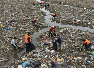 Delta del Po: rimosse 10 tonnellate di rifiuti Plastica rimossa