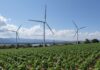 Imprese italiane chiedono regole stabili sull’energia Efficienza energetica