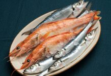 Napoli e il pesce azzurro: una scelta sostenibile Cucina sostenibile