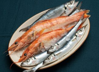 Napoli e il pesce azzurro: una scelta sostenibile Cucina sostenibile