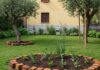 Giardino: come prepararlo al caldo estivo Giardino estivo