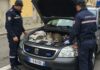 Stradella: salvati due gattini dal motore di un’auto Soccorso animali