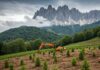 Appennino: piantati 10.000 nuovi alberi autoctoni Alberi piantati