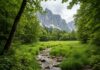 Europa: un concorso fotografico sulla natura resiliente Concorso fotografico