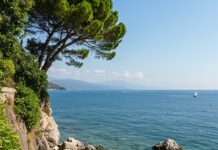 Greenwashing: l’Italia introduce nuove sanzioni Sostenibilità reale