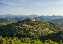 Appennino: un piano per piantare 1 milione di alberi Riforestazione Appennino