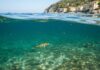 Mar Tirreno: nuovo allarme per le microplastiche Inquinamento marino
