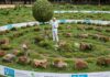 Giornata Ambiente: a Baku il focus sul clima Soluzioni naturali